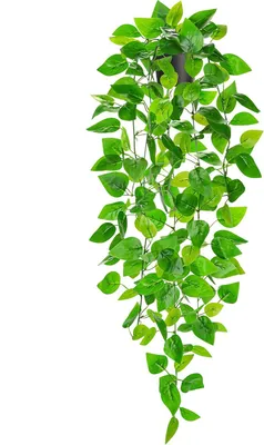 Produktbild von Kunstpflanze 86 cm, Hängende Pothos, Pflegeleicht, für Innenbereich
