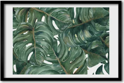 Produktbild von Bild 60x40 MDF-Rahmen, Wandkunst monstera
