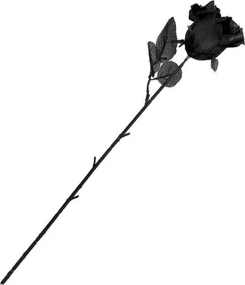 Image de Fleur Halloween noir 48 cm rose