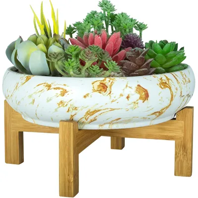 Zdjęcie produktu dla Duży doniczka do bonsai, 10 cali, z podstawką do odprowadzania wody, idealna do sukulentów