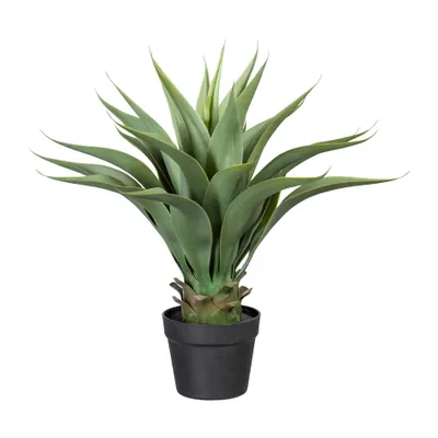 Produktbild von Kunstpflanze Agave Höhe: 57 cm grün