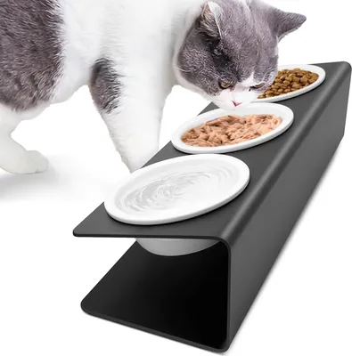 Produktbild von Erhöhte Katzenbox - Keramische Futterschüssel - Metallständer - 15° geneigt - Futterstation für Katzen - Hundenapf - Futterbehälter - Wassernapf - Für Katzen und kleine Hunde.