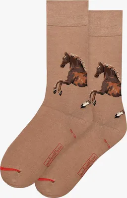 Produktbild von MuseARTa Socken | George Stubbs - Whistlejacket Braun 36-40