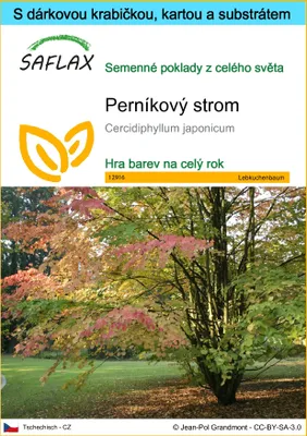 Obrázek produktu pro SAFLAX Dárková sada - perníkový strom - Cercidiphyllum japonicum - 200 Semena - S dárkovou krabičkou, přepravním štítkem, dárkovou kartou a pěstebním médiem