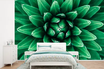 Produktbild von MuchoWow® Fototapete für Wohnzimmer oder Schlafzimmer Wandtapete Vinyl Motivtapete Nahaufnahme Kaktusblätter - 330x220 cm - Fototapeten