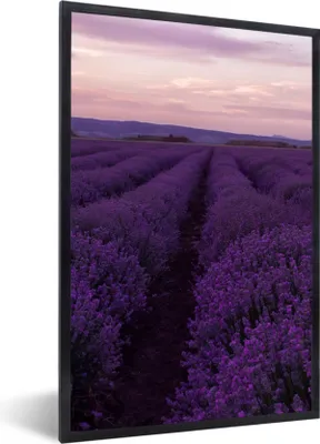 Produktbild von MuchoWow® Gerahmtes Poster Lavendel - Lila - Blumen - Natur 60x90 cm - Poster mit Schwarzem Bilderrahmen Wandposter Rahmen Foto Bilder - Kunst