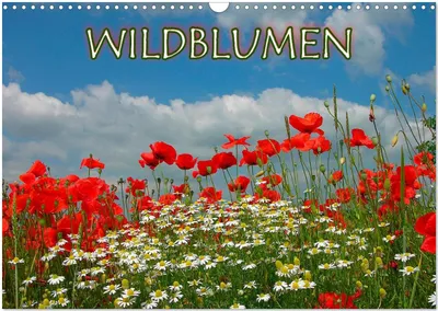 Produktbild von Wildblumen 2025 (Wandkalender 2025 DIN A3 quer), CALVENDO Monatskalender