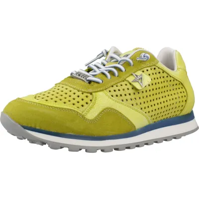 Produktbild von Cetti Sneaker C848USED V24 in Grün mit sportlichem Design und Schnürsenkeln