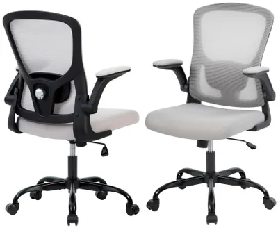 Immagine prodotto di Sedia da ufficio ergonomica, portata massima 159 kg - Sedia da scrivania con schienale alto - Supporto lombare regolabile - Schienale in rete - Braccioli pieghevoli - Funzione basculante e bloccabile - Grigia