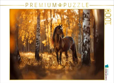Produktbild von CALVENDO Puzzle Braunes Pferd im Herbstwald | 1000 Teile Lege-Größe 64x48cm Foto-Puzzle für glückliche Stunden