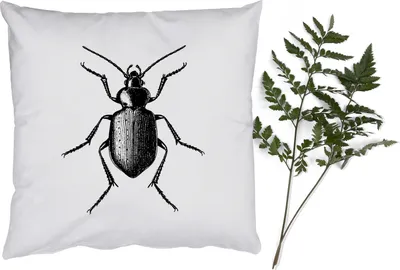 Produktbild von MuchoWow® Zierkissen Sofakissen Wohnzimmer Dekokissen 60x60 cm Käfer - Tiere - Vintage - Schwarz und weiß - Sitzfläche - Foto Polster