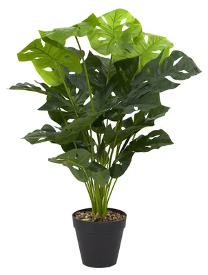 Obrázek produktu pro Umělá rostlina MONSTERA v květináči, výška 80 cm