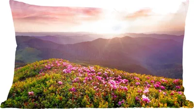 Produktbild von MuchoWow® Zierkissen Sofakissen Wohnzimmer Dekokissen 50x30 cm Blumen - Berg - Sonnenuntergang - Landschaft - Wohnzimmerdekoration - Polster mit Photo