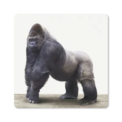 Produktbild von MuchoWow® Mauspad Mousepad Gorilla - Tiere - Jungen - Mädchen - Kinder 20x20 cm - Mousepads - Maus Mat - Pad - Mausunterlage - Desk Mat - Bureauartikeln