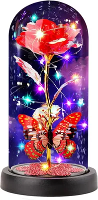 Produktbild von Ewige Rose in einer Glaskuppel mit LED-Beleuchtung Rot Geschenk