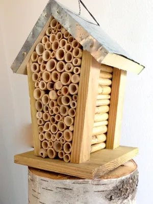 Produktbild von Bienenhotel zur Beobachtung von Bienen, Bienenhaus für Biene oder Insektenhotel