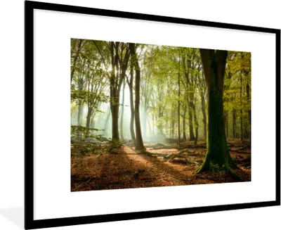 Produktbild von MuchoWow® Gerahmtes Poster Wald - Sonne - Jahreszeiten - Landschaft 90x60 cm - Poster mit Schwarzem Bilderrahmen Wandposter Rahmen Foto Bilder - Wanddekoration - Fotos