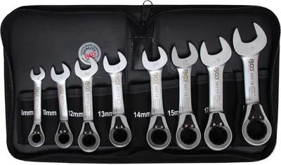 Obrázek produktu pro BGS technic Ratchet Combination Wrench Set, 826 g