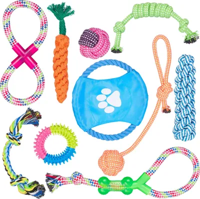 Produktbild von 10-teiliges Hundespielzeug Set für Welpen und mittelgroße Hunde, langlebig und vielseitig