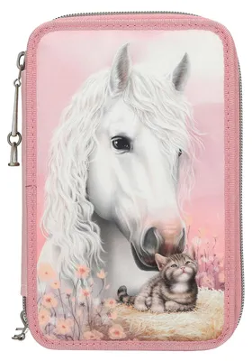 Produktbild von Depesche 13687 Miss Melody 3 Fach Federtasche True Friends