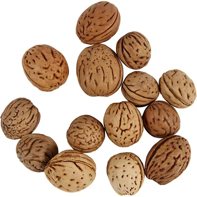 Produktbild von Nüsse, 25 g/ 1 Pck [HOB-50247]