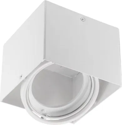 Produktbild von Deckenaufbau-Downlight Pireo 1xAR111 weiß GTV