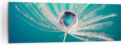 Produktbild von Bild auf Leinwand - Leinwandbild - Pflanze Natur - 160x50cm - Wand Bild - Wanddeko - Wandbilder - Leinwanddruck - Bilder - Kunstdruck - Wanddekoration - Leinwand bilder - Wandkunst - AB160x50-3991