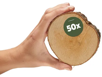 Produktbild von Kleine 8 cm Baumscheiben 50er Pack zum Holz-Deko Basteln