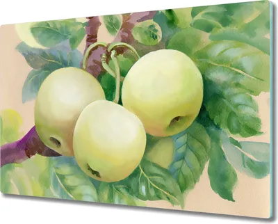 Produktbild von Coloray Herdabdeckplatte 80x52 cm Schneidebrett Kochplattenabdeckung Küchenbrett Hackbrett - Früchte Apfel