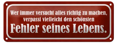 Produktbild von Blechschild Spruch 27x10cm schönster Fehler seines Lebens Dekoration