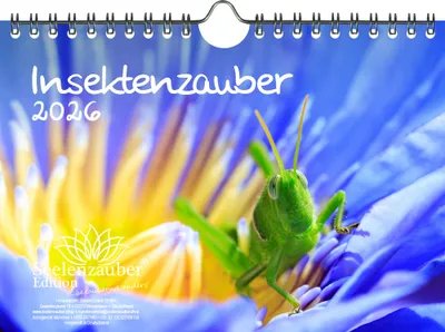 Produktbild von Insektenzauber DIN A5 Kalender für 2026 - Seelenzauber