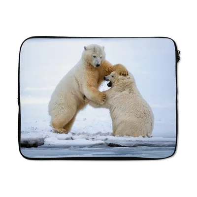 Produktbild von MuchoWow® Laptop Hülle 17 Zoll Laptoptasche Eisbären - Spiele - Eis - Zipper - Schutzabdeckung
