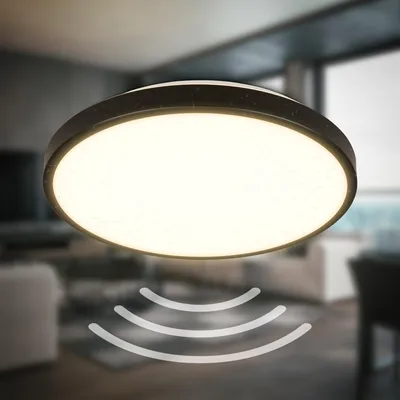 Productafbeelding van LED plafondlamp met bewegingssensor, IP54, geschikt voor badkamer, warm wit licht, 29 cm