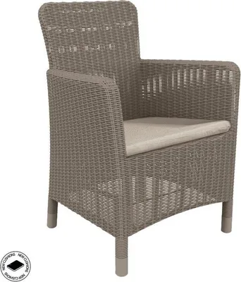 A single rattan armchair with a cushion, presented on a white background.