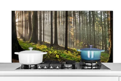 Obrázok produktu pre MuchoWow® Splashback Kuchyňa - Kuchynský backsplash - Ochrana steny pre sporák a drez Slnko - vetvy - stromy - les - príroda 120x60cm Alu-Dibond