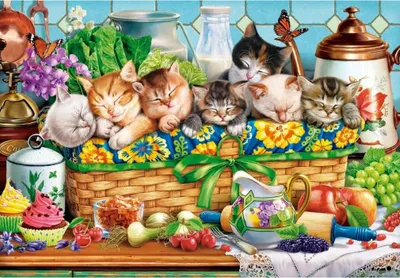 Immagine prodotto di Puzzle 1000 gattini sonnecchianti CASTOR