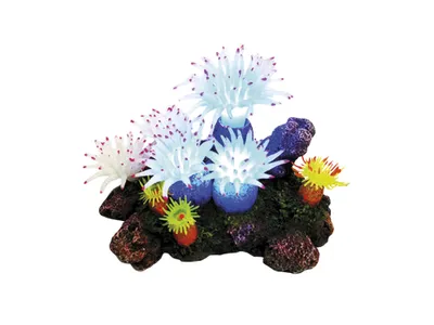 Produktbild von Nobby Aquariendekoration Aplysina mit Pflanzen mit LED