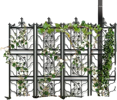 Immagine prodotto di Traliccio da giardino, design elegante e giocoso, struttura resistente in metallo e ferro, nero