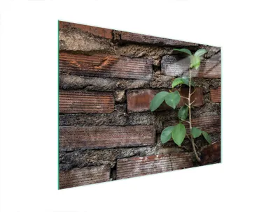 Produktbild von Glasschneidebrett 40x30 Ziegel