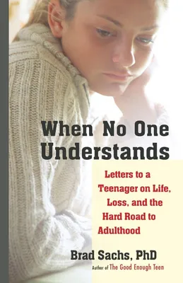Produktbild von When No One Understands