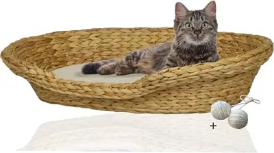 Produktbild von Rohrschneider Komfortables Katzenkörbchen mit Katzenkissen| Katzennest Korb Wasserhyazinthe | Katzenkörbchen geflochten zum Schlafen | Umweltfreundliches Katzenbett mit Kissen, Größe:Größe 2