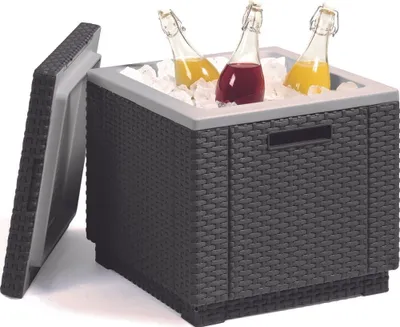 Image de Allibert Ice Cube tabouret avec glacière, couleur : graphite