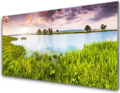 Produktbild von Acrylglasbilder 100x50 Wandbild Druck Gras See Natur