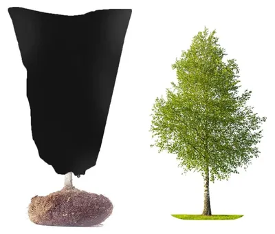 Obrázok produktu pre Zimná ochrana pre rastliny, ochranný obal, stan, priedušný, odolný proti trhlinám, čierna farba, rozmer 80x100 cm