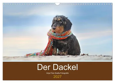 Produktbild von Der Dackel (Wandkalender 2027 DIN A3 quer), CALVENDO Monatskalender