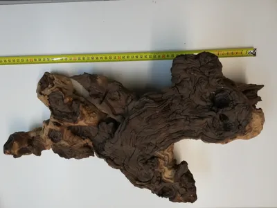 Produktbild von Mopaniholz, Mopani, Dekoholz für Aquaristik und Terraristik 45 - 60 cm