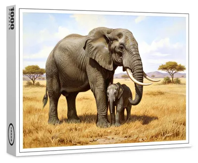 Produktbild von raxxa Premium-Puzzle "Afrikanischer Elefant mit Jungtier", 1000 Teile