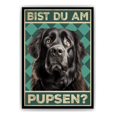 Produktbild von Neufundländer - Bist du am Pupsen? Hunde Poster Badezimmer Gästebad Wandbild Klo Toilette Dekoration Lustiges Gäste-WC Bild DIN A4 – DIN A4 (21x29.7cm)