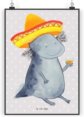 Produktbild von Mr. & Mrs. Panda Bild Axolotl Tequila DIN A5 - Grau Pastell - Geschenk, Plakat, Posterdruck, trinken, Wandbild, Party, Sombrero, Spruch, drucke, wanddeko, Mexiko