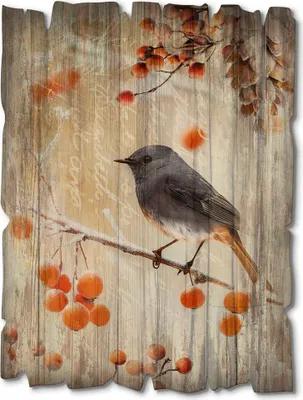 Produktbild von ARTland Holzbild Vintage Hausrotschwanz 2 Größe: 30x40 cm